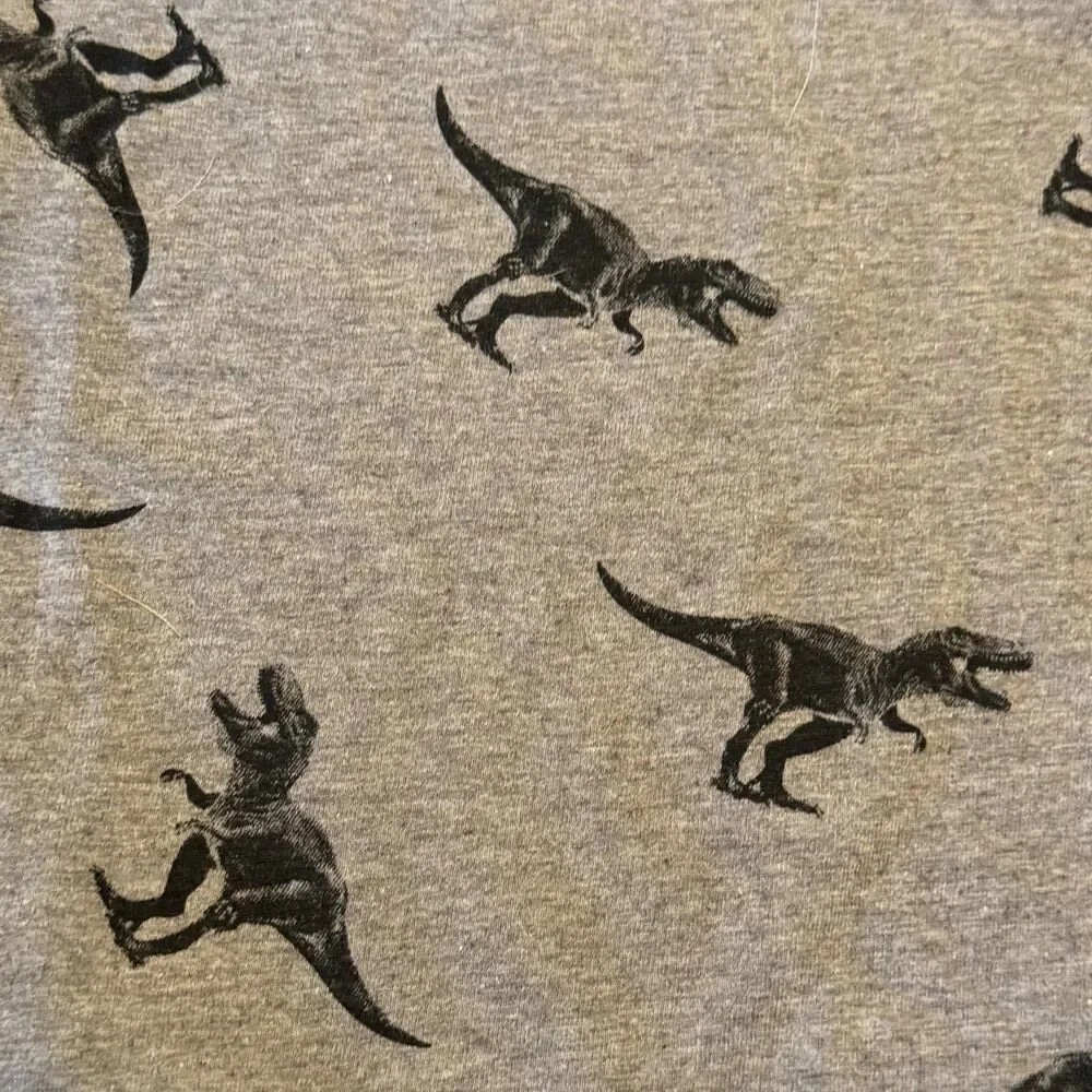 2 Old Navy Dinosaur Shirts Size Large